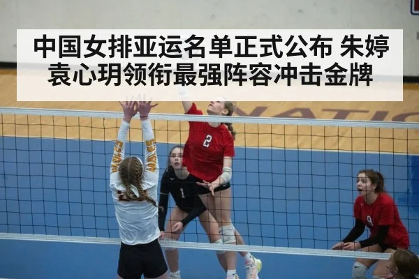 volleyball spike action